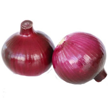 High quality fresh red market onion for sale price from Chinese factory